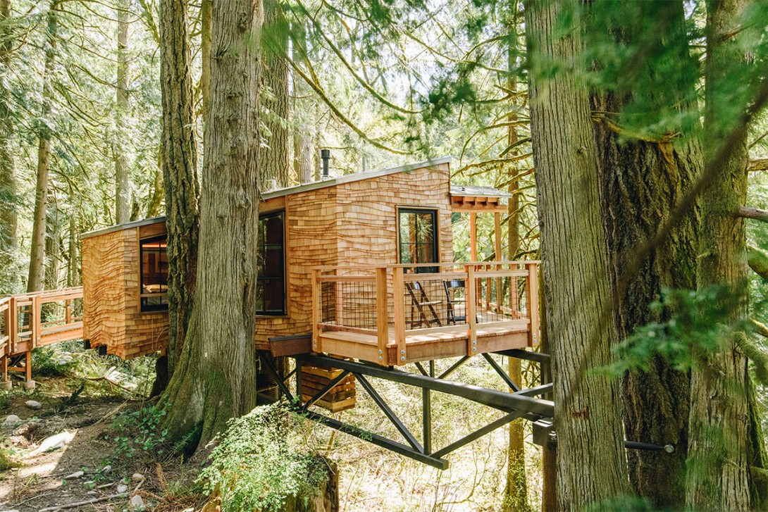 Trees and Treehouse Lodging Cabins in USA